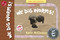 We Dig Worms! (TOON Level 1) - 9781943145416 by Kevin McCloskey, 9781943145416