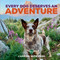 Every Dog Deserves an Adventure (Amazing Stories of Camping with Dogs) by Camping with Dogs, L. J. Tracosas, 9780760381373