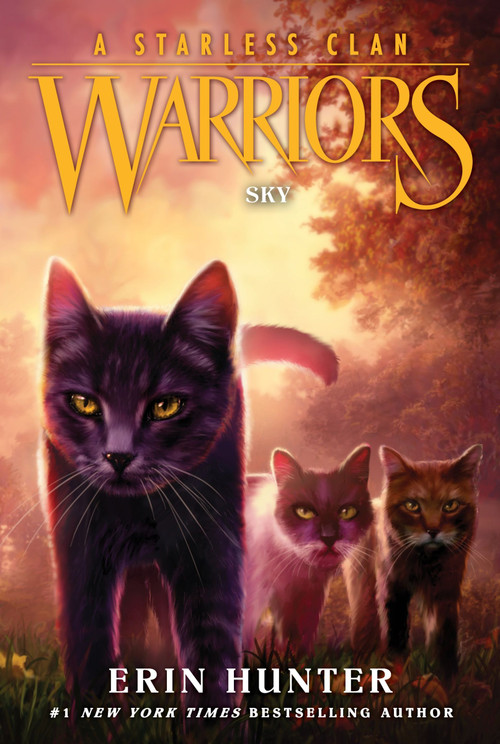 Warriors: A Starless Clan #2: Sky - 9780063050174 by Erin Hunter, 9780063050174