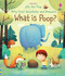 Very First Questions and Answers What is poop? by Katie Daynes, Marta Alvarez Miguens, 9781805317227