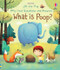 Very First Questions and Answers What is poop? by Katie Daynes, Marta Alvarez Miguens, 9781805317227