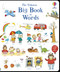 Big Book of Words by Mairi Mackinnon, Hannah Wood, Kate Hindley, 9781805317395