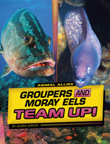 Groupers and Moray Eels Team Up! by Gloria Koster, 9781669048831