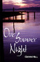 One Summer Night - 9781594930072 by Gerri Hill, 9781594930072