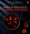 Mrs K M Mathew's Finest Recipes by K M Mathew, 9780143453123