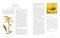 National Geographic Herbal (100 Herbs From the World's Healing Traditions) by Mimi Prunella Hernandez, 9781426222399