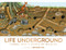 Life Underground (Tunnel into a World of Wildlife) by DK, Richard Orr, 9780744084726