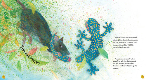 Gecko (Read and Wonder) - 9781536233278 by Raymond Huber, Brian Lovelock