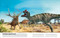 El libro de los dinosaurios (The Dinosaur Book) (Spanish Edition) by DK, 9780744089271