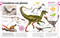 El libro de los dinosaurios (The Dinosaur Book) (Spanish Edition) by DK, 9780744089271