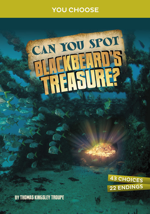 Can You Spot Blackbeard's Treasure? (An Interactive Treasure Adventure) - 9781669032007 by Thomas Kingsley Troupe, 9781669032007