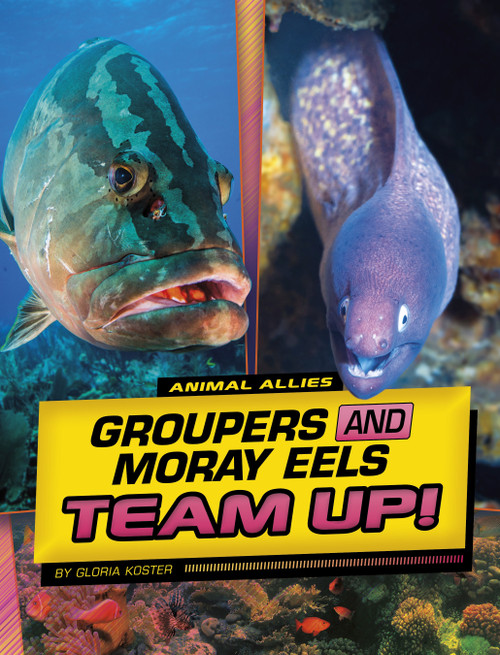 Groupers and Moray Eels Team Up! - 9781669048886 by Gloria Koster, 9781669048886