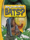 Why Do We Need Bats? - 9780756575113 by Laura K. Murray, 9780756575113