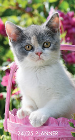 Cute As A Kitten 2024 3.5" x 6.5" 2-Year Pocket Planner by Willow Creek Press, 9781549238475