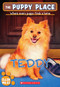 Teddy (The Puppy Place #28) by Ellen Miles, 9780545462396