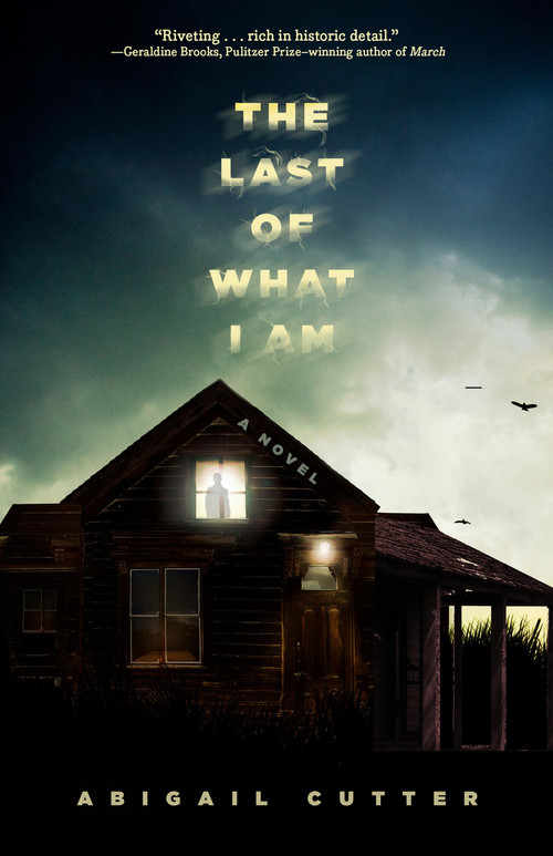 The Last of What I Am (A Novel) by Abigail Cutter, 9781454951780