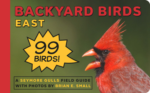 Backyard Birds East by Seymore Gulls, 9781935622772