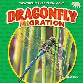 Dragonfly Migration by Rachel Rose, 9798888220641