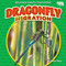 Dragonfly Migration - 9798888222621 by Rachel Rose