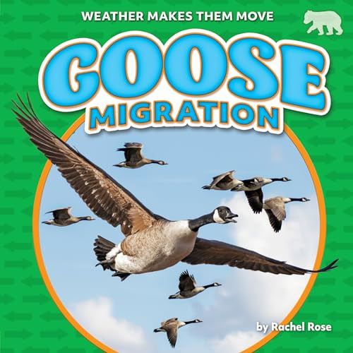 Goose Migration by Rachel Rose, 9798888222638