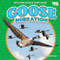 Goose Migration by Rachel Rose, 9798888222638