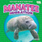 Manatee Migration - 9798888220672 by Rachel Rose, 9798888220672