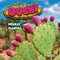 Ouch! by Rex Ruby, 9798888222348