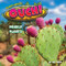 Ouch! (Prickly Plants) - 9798888220412 by Rex Ruby, 9798888220412