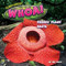 Whoa! - 9798888222355 by Rex Ruby