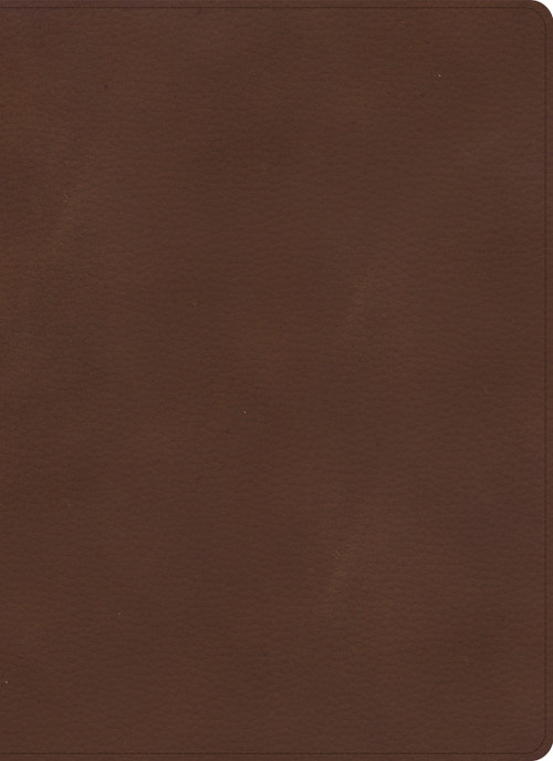 KJV Single-Column Wide-Margin Bible, Brown LeatherTouch by Holman Bible Publishers, 9781087767628