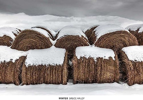 Winter - 9781954119284 by Bruce Haley, 9781954119284