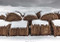 Winter - 9781954119284 by Bruce Haley, 9781954119284