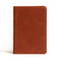 NASB Large Print Compact Reference Bible, Burnt Sienna LeatherTouch by Holman Bible Publishers, 9781087765709