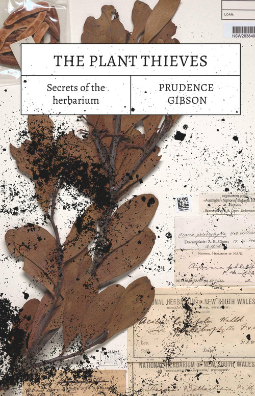 The Plant Thieves (Secrets of the herbarium) by Prue Gibson, 9781742237688