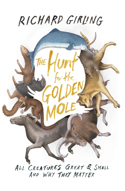 The Hunt for the Golden Mole (All Creatures Great & Small and Why They Matter) by Richard Girling, 9781619025851
