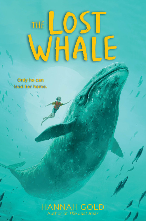 The Lost Whale - 9780063041127 by Hannah Gold, 9780063041127