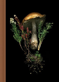 Deep Dark Forest Mushroom Journal by Julya Hajnoczky, 9781797227863