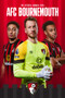 The Official Bournemouth AFC Annual 2024 by Matt Joyce, 9781915879134