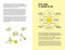 Dibujo, luego pienso / I Draw, Then I Think (Spanish Edition) by Javirroyo, 9788426424747
