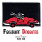 Possum Dreams by Julie Sola, 9781940611754