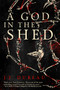 A God in the Shed by J-F. Dubeau, 9781942645351
