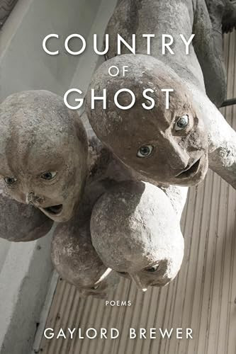 Country of Ghost by Gaylord Brewer, 9781597093132