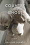 Country of Ghost by Gaylord Brewer, 9781597093132