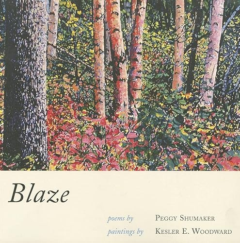 Blaze - 9781597090544 by Peggy Shumaker, 9781597090544