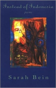 Instead of Indonesia by Sarah Bein, 9781888996104