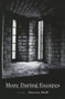MORE DARING ESCAPES by STEVEN HUFF, 9781597090797
