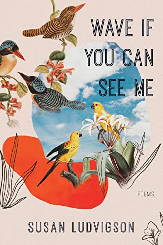 Wave If You Can See Me by Susan Ludvigson, 9781597098632