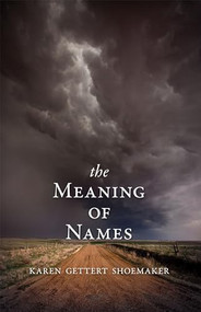 The Meaning of Names by Karen Shoemaker, 9781597099592