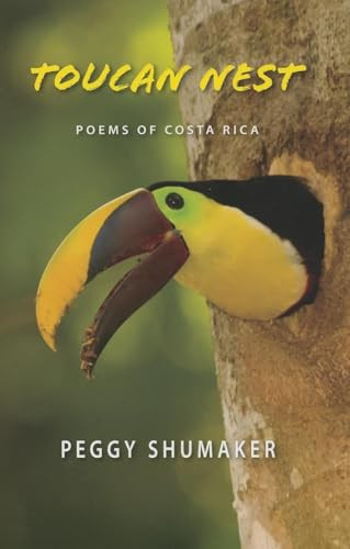 Toucan Nest by Peggy Shumaker, 9781597096782