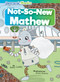 Not-So-New Mathew by Robin Twiddy, Rosie Groom, 9798888225219